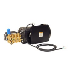 Canpump Electric Pressure Washer: 7.5 hp Motor 230 V, Triplex Pump picture