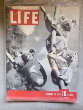 VTG Life Magazine January 10, 1938 Koalas, Panay Incident, US Gunboat Bombed picture