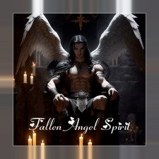Fallen MALE Angel Spirit Sexy Companion Protector Genie Powers picture