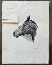 Vintage DECIDEDLY 1962 Kentucky Derby Winner Horse Print “ See Damage Note “ picture
