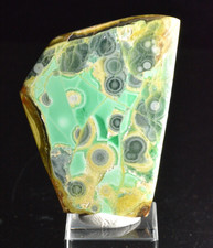 Variscite, Clay Canyon, Oquirrh Mountains, Utah, 77.45 CT picture