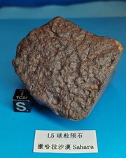 265g L5 type NWA Northwest non classical chondrite raw ore slice meteorite picture