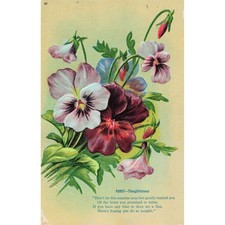 Antique Embossed Pansy Floral Flower Poem Postcard Bangor PA 1910 Divided Back picture