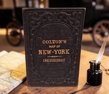 RARE Antique 1872 GW & CB Colton Pocket Folding Map New York State Hand Colored picture