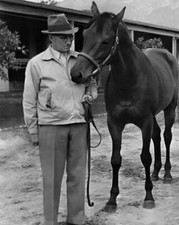 Champion Racehorse Seabiscuit Horse  8x10 PHOTO PRINT picture