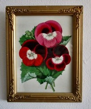 Antique Original Framed Hand-Colored LIthograph from France picture