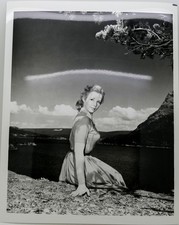 Piper Laurie PIPER LAURIE PHOTO 8'' X 10'' Inch Photograph picture
