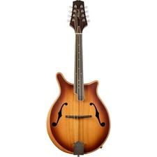 Mitchell DM200E Double Cut AcousticElectric Mandolin  California Gold picture