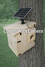 Extra Large Handmade Squirrel House with Camera and Solar – Outdoor Nesting Box picture
