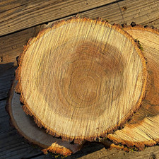 Unique Unfinished Hardwood 12 to 14 inch  unique grain design , Set of 5 picture