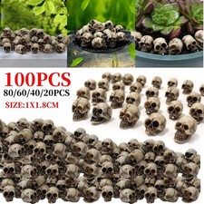 20pcs Mini Skulls Decor Skeleton Head Crafts Mini Skulls Set Garden Decor picture