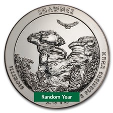 5 oz Silver ATB - Random Year picture