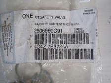 GENUINE OEM NOS INTERNATIONAL NAVISTAR 2506990C91 Safety Valve Kit picture