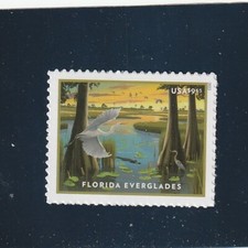 Scott #  5751   Florida Everglades   M/NH OG   picture
