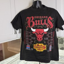 Vintage NBA Chicago Bulls World Champions 1992 Shirt L made in USA RARE picture