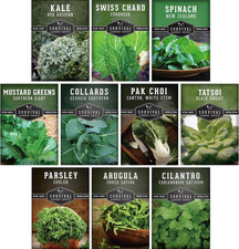 10 Power Greens Seed Variety Pack Collection - picture