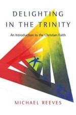 Delighting in the Trinity: An Introduction to the Christian Faith - GOOD picture