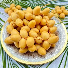 8 LBS FRESH YELLOW BARHI DATES picture
