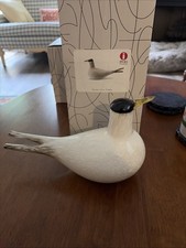 Hand Blown Glass iittala Toikka Arctic Tern 2000 Annual Bird Finland picture