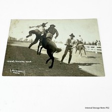 Vintage IRWIN'S BUCKING MULE Rodeo Cowboy Houbleary Photo Postcard Unposted picture