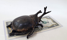 Vintage Japanese Bronze/Patinated Brass Rhinoceros Beetle 4.25