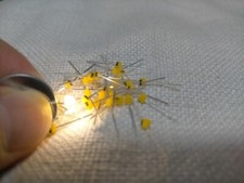 1.5mm Mini  Red Yellow Blue Green White Orange Warm white Led Diodes Light Leds picture