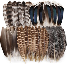 40 Pcs Natural Pheasant Feathers Bulk Spotted Feathers 5 Styles Mixed Feathers picture