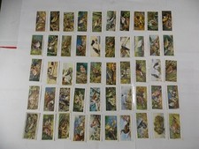 Players Cigarette Cards Birds & Their Young 1937 Complete Set 50 picture