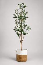 7’ Artificial Olive Minimalist Lifelike Tree with Natural Trunk Home Decor picture