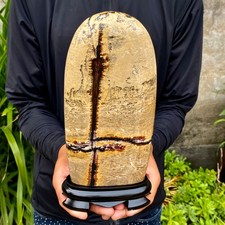 4.89LB Beautiful Natural Chinese Dendritic Limestone Picture Stone Guohua-Rare picture