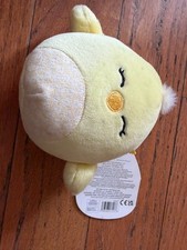 Squishmallows Aimee June 14 BD small picture