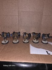 Warhammer 40,000 Blood Angels Sanguinary Guard Used Painted Oop picture