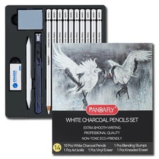 PANDAFLY Professional White Charcoal Pencils Set, 1 Count (Pack of 14), picture
