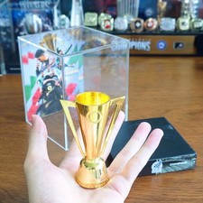 CONCACAF Gold Cup 2025 Mexico Champion Mini Metal Trophy Dustproof Acrylic picture