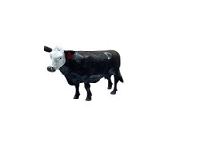 Little Buster Toys Realistic 1/16th Scale Replica Tagged Black Baldy Cow picture