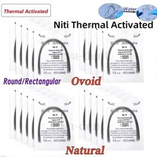 Dental Orthodontic Thermal Activated Archwires Niti Arch Wire Ovoid Natural Form picture