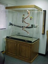 Pennzoni Large Acrylic Bird Cage Crystal Clear for Amazons, Parrots, and Macaws picture
