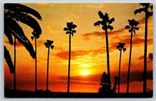 A California Sunset Vintage Postcard picture