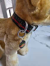 Elegant dog collar, collar for dog, luxury collar for dog with removable tag LRG picture