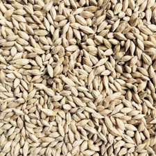 Wholesale Organic Sunflower Seeds Hulled Bulk picture