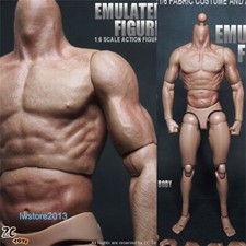 US ZC Toys 1/6 Muscular Male 12