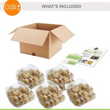 Garden State Bulb Bright Sunshine Mix Single Late Tulip Flower Bulbs, 12/+ cm picture