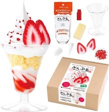 🟢Japanese DIY Strawberry Parfait Food Sample Craft Making Sample Kit from Japan picture