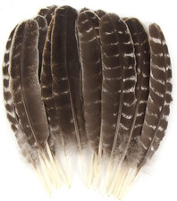 CCINEE 15Pcs Natural Turkey Feather, 10-11 Inches Wild Turkey Feathers for Craft picture