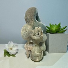 Massive Caribbean Calcite Skull with Snake picture