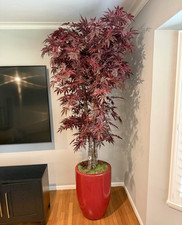 Artificial Japanese Maple Tree Houseplant in Red Planter Pot, Red & Green picture