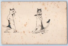 c1910's Two Cat Playing Flute Hand Drawn Art Animals Posted Antique Postcard picture