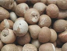 100% Organic Areca Dried Nuts | Whole Betel Nuts | 2 Lb | Fresh New Harvest | picture