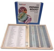 AmScope PS100A 100 Homeschool Biology Prepared Microscope Slides - Set A picture