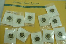 Vintage 1976 HOSPITAL TEEN VOLUNTEER Pin New Old Stock NOS LOT picture